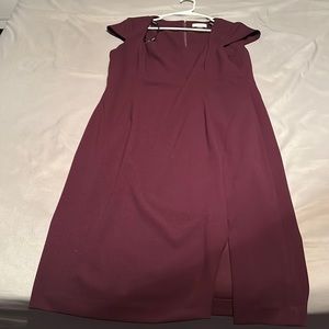 Women’s fitted dress